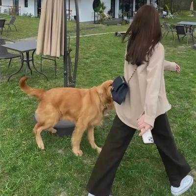爱情盛宴
